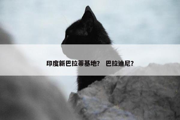 印度新巴拉蒂基地？ 巴拉迪尼？