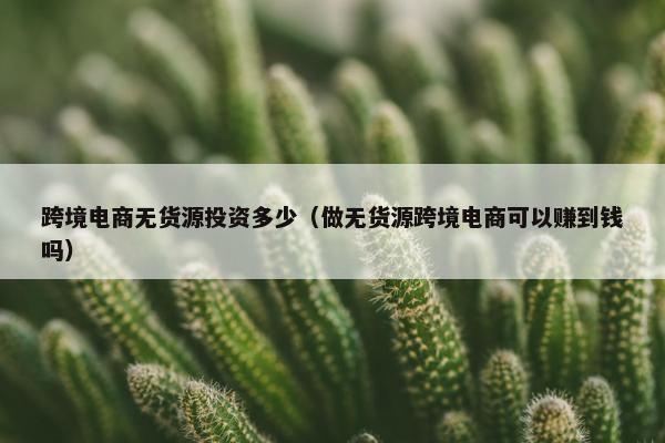跨境电商无货源投资多少(做无货源跨境电商可以赚到钱吗) 跨境电商无货源投资多少(做无货源跨境电商可以赚到钱吗)