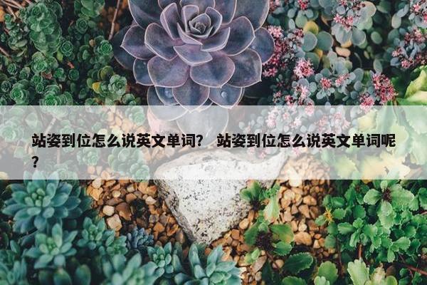 站姿到位怎么说英文单词？ 站姿到位怎么说英文单词呢？