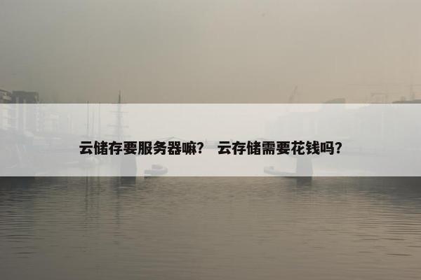 云储存要服务器嘛？ 云存储需要花钱吗？