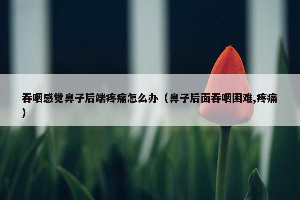 吞咽感觉鼻子后端疼痛怎么办（鼻子后面吞咽困难,疼痛）