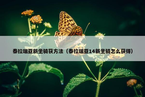 泰拉瑞亚新坐骑获方法（泰拉瑞亚14新坐骑怎么获得）