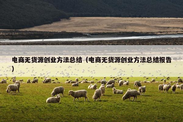 电商无货源创业方法总结（电商无货源创业方法总结报告）