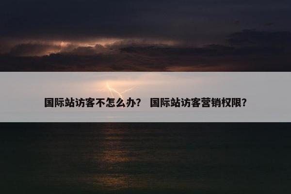 国际站访客不怎么办？ 国际站访客营销权限？