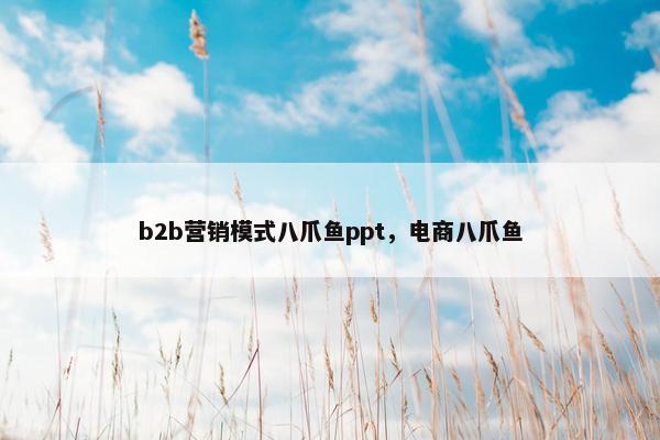 b2b营销模式八爪鱼ppt，电商八爪鱼