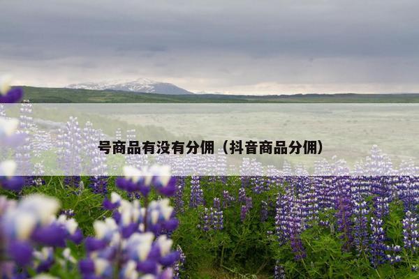 号商品有没有分佣（抖音商品分佣）