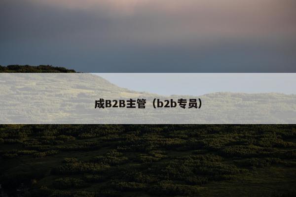 成B2B主管（b2b专员）