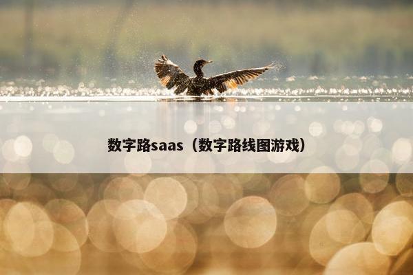 数字路saas（数字路线图游戏）