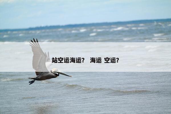 站空运海运？ 海运 空运？