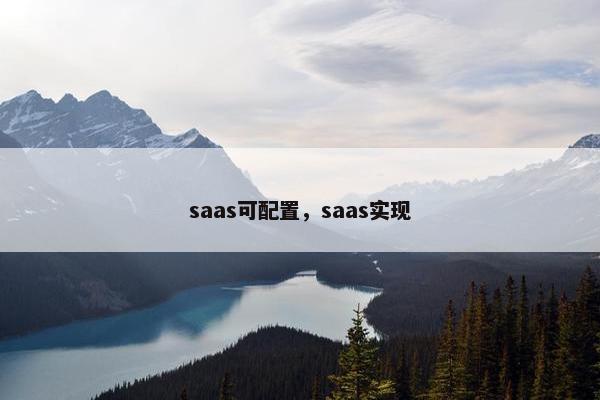 saas可配置，saas实现