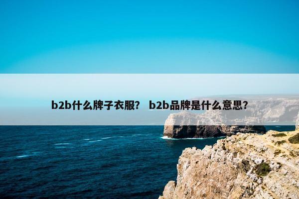 b2b什么牌子衣服？ b2b品牌是什么意思？