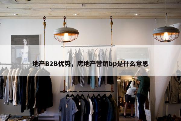 地产B2B优势，房地产营销bp是什么意思