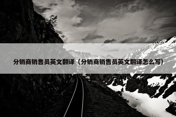分销商销售员英文翻译(分销商销售员英文翻译怎么写)