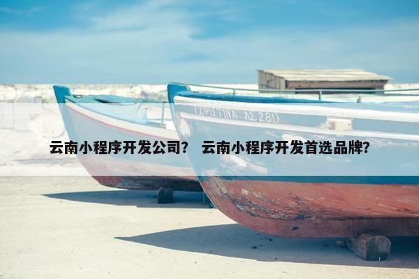 云南小程序开发公司? 云南小程序开发首选品牌?