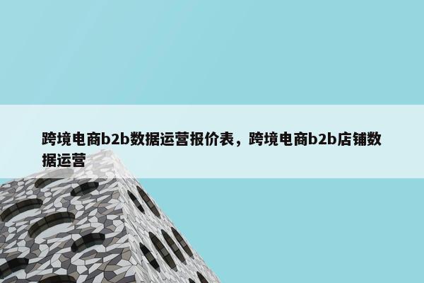 跨境电商b2b数据运营报价表，跨境电商b2b店铺数据运营