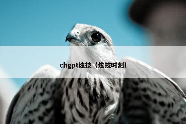 chgpt炫技（炫技时刻）