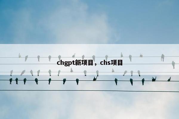 chgpt新项目，chs项目