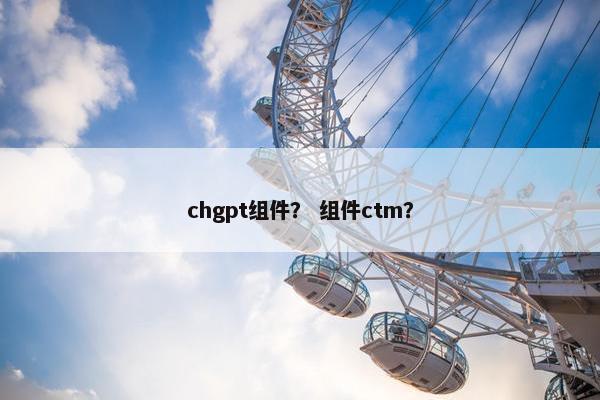 chgpt组件？ 组件ctm？