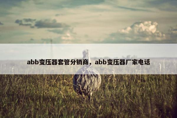 abb变压器套管分销商，abb变压器厂家电话