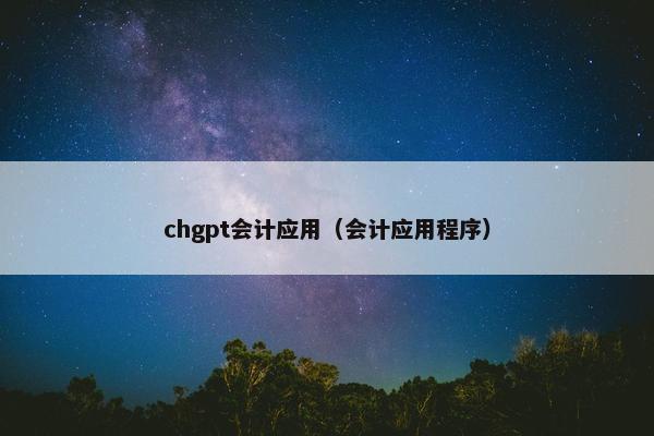 chgpt会计应用（会计应用程序）