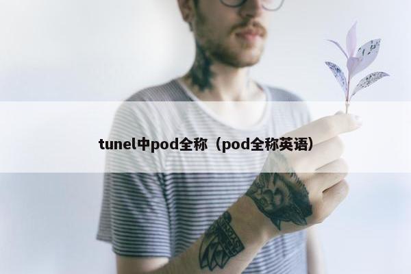 tunel中pod全称（pod全称英语）