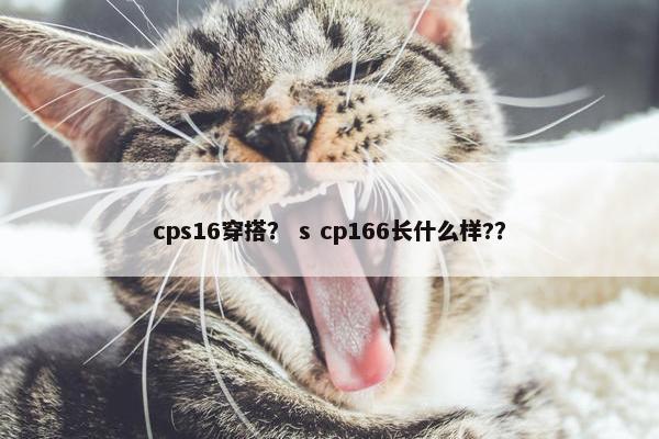 cps16穿搭？ s cp166长什么样?？