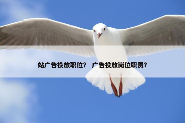 站广告投放职位? 广告投放岗位职责?