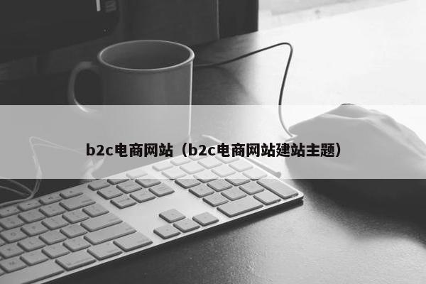 b2c电商网站（b2c电商网站建站主题）