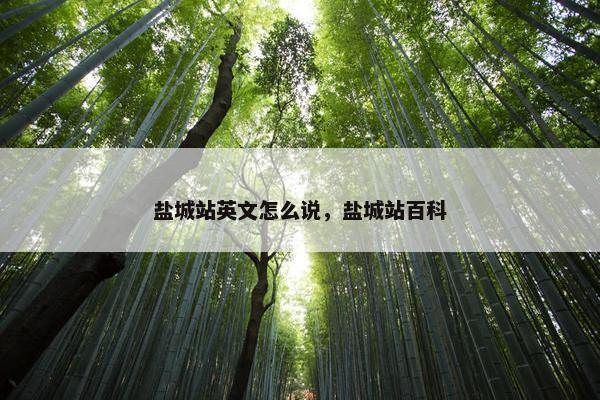 盐城站英文怎么说，盐城站百科
