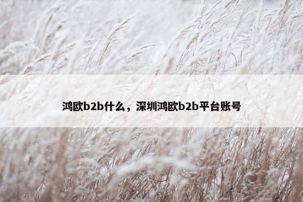鸿欧b2b什么,深圳鸿欧b2b平台账号