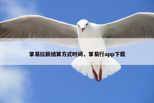 掌易拉新结算方式时间，掌易行app下载