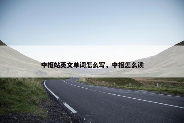 中枢站英文单词怎么写，中枢怎么读