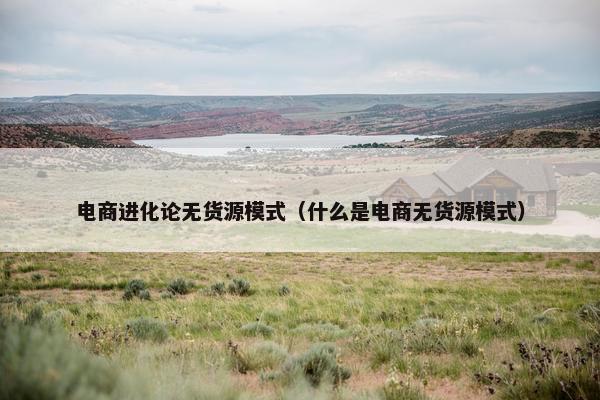 电商进化论无货源模式（什么是电商无货源模式）