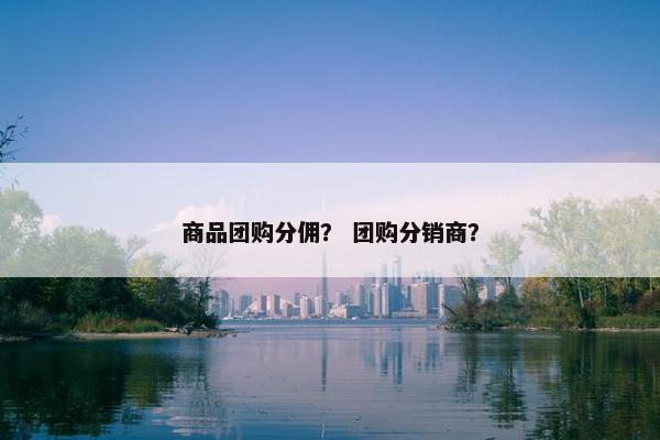 商品团购分佣？ 团购分销商？