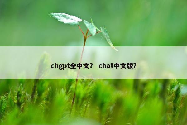chgpt全中文？ chat中文版？