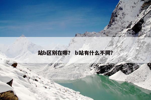 站b区别在哪? b站有什么不同?