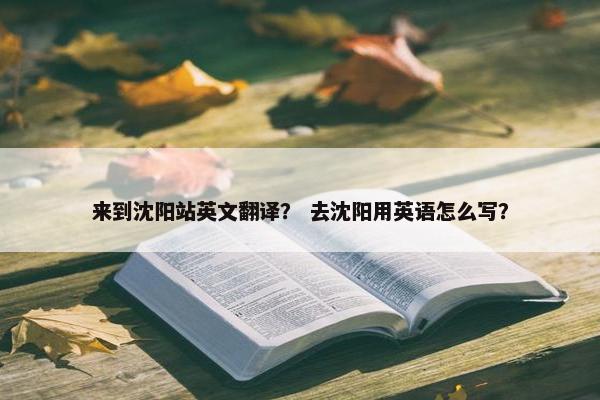 来到沈阳站英文翻译？ 去沈阳用英语怎么写？