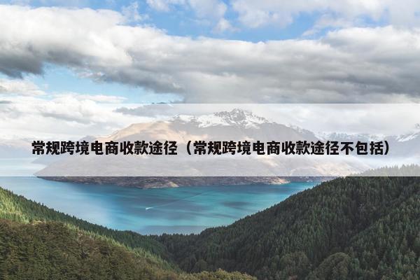 常规跨境电商收款途径（常规跨境电商收款途径不包括）
