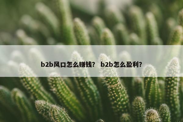 b2b风口怎么赚钱？ b2b怎么盈利？