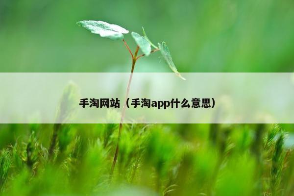 手淘网站（手淘app什么意思）