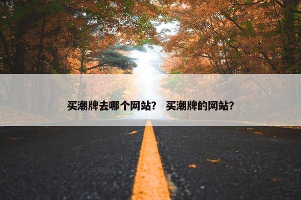 买潮牌去哪个网站？ 买潮牌的网站？