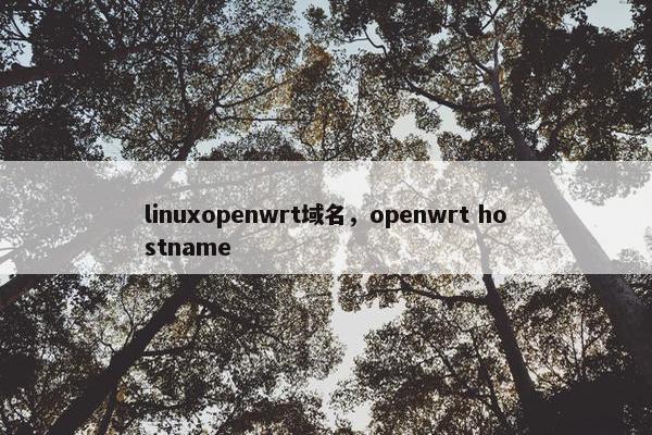 linuxopenwrt域名，openwrt hostname