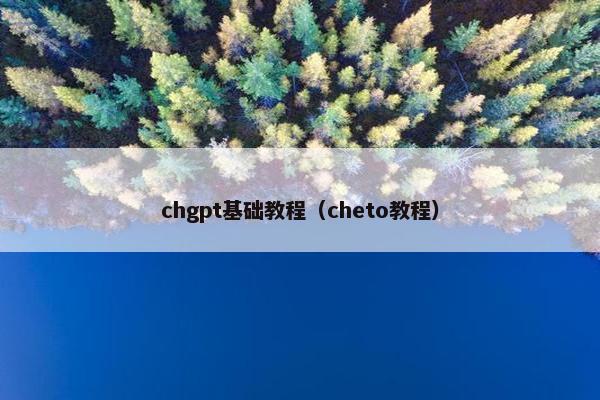 chgpt基础教程（cheto教程）
