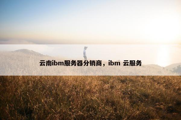 云南ibm服务器分销商，ibm 云服务