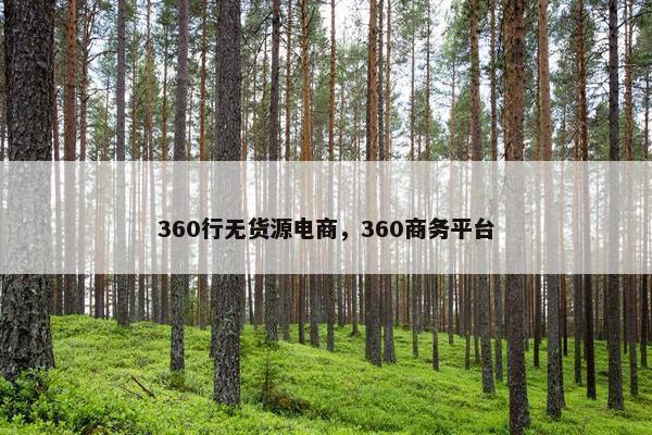 360行无货源电商，360商务平台