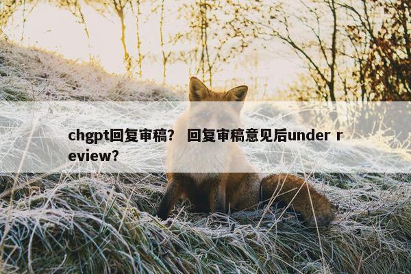 chgpt回复审稿？ 回复审稿意见后under review？