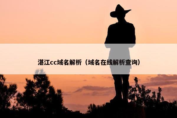 湛江cc域名解析（域名在线解析查询）