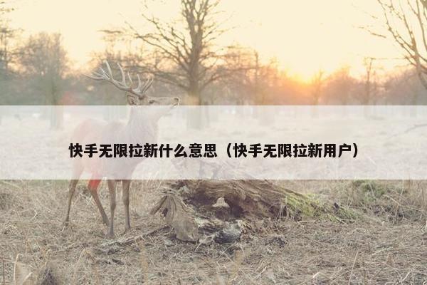 快手无限拉新什么意思（快手无限拉新用户）