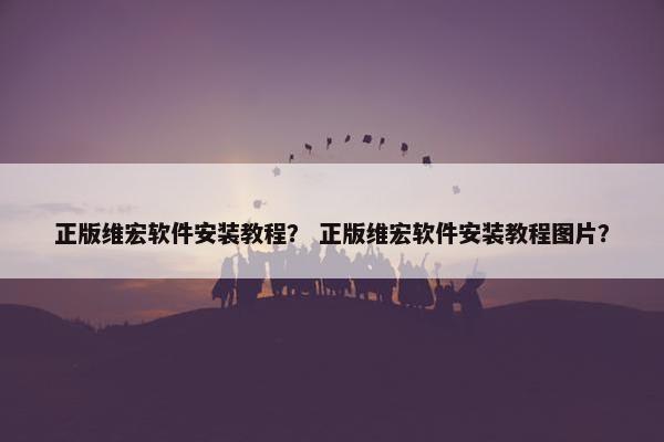 正版维宏软件安装教程？ 正版维宏软件安装教程图片？
