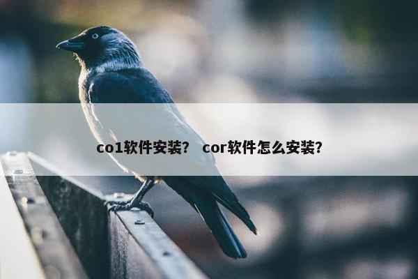 co1软件安装？ cor软件怎么安装？
